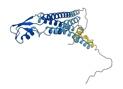 GJB3 3D structure