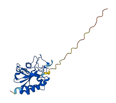 GPX5 3D structure