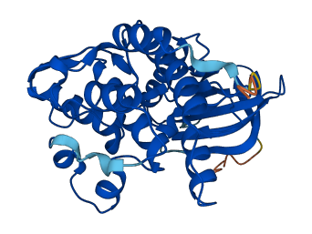 STK16 3D structure