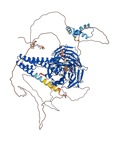 WDHD1 3D structure