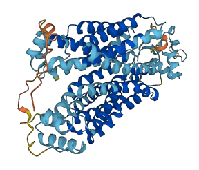 SLC22A3 3D structure