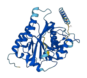 B3GALNT1 3D structure