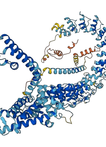 TRPA1 3D structure