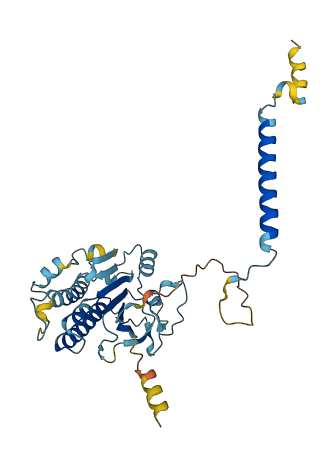 ATP6AP2 3D structure