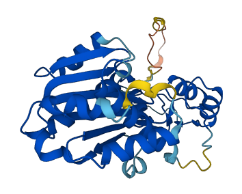 RNASEH2A 3D structure