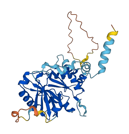 CDC123 3D structure
