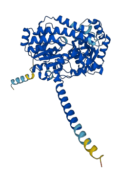 UGT2B17 3D structure