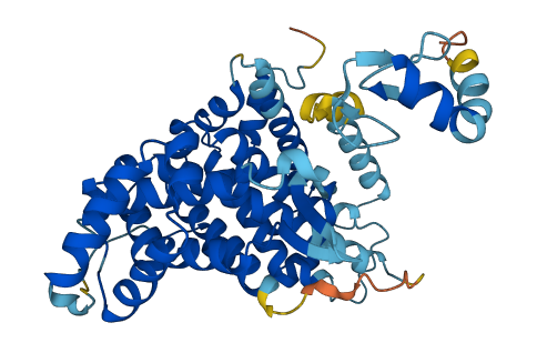ZMYND10 3D structure