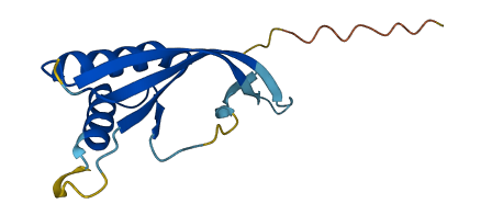 POP7 3D structure