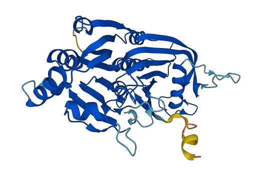RPP40 3D structure