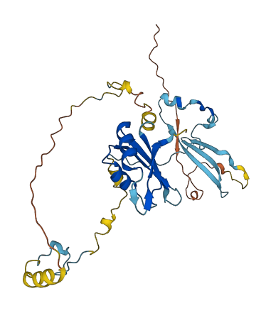 EIF3G 3D structure
