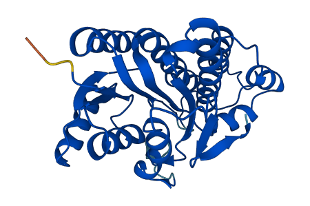 CBR3 3D structure