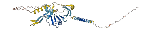 CNMD 3D structure