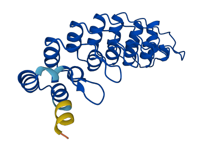 PSMD10 3D structure