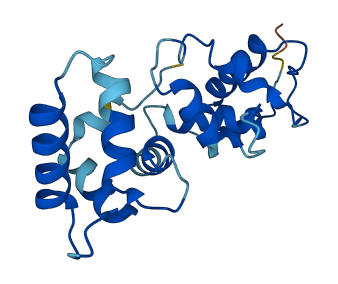CIB2 3D structure