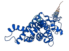 SC5D 3D structure