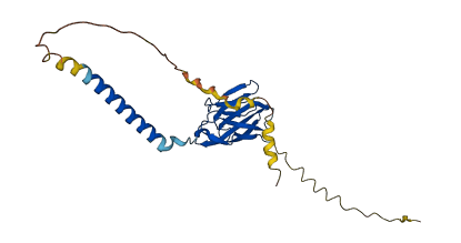 CEACAM4 3D structure