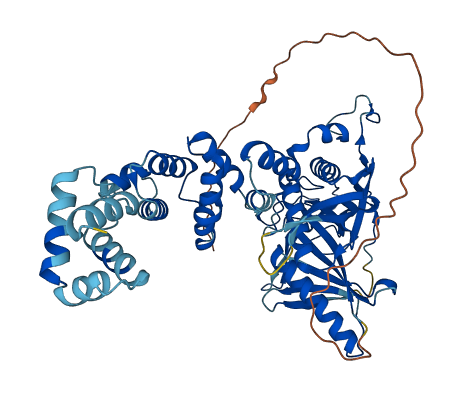 GATB 3D structure