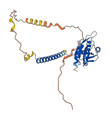 SCO1 3D structure