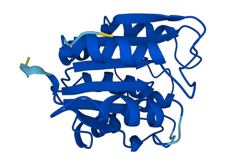 RBBP9 3D structure