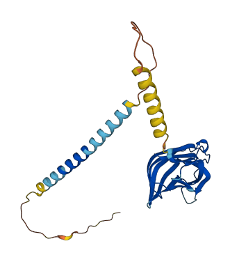 TNFSF13 3D structure