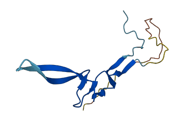 TUSC2 3D structure