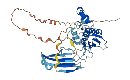 MMP23B 3D structure