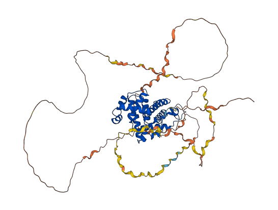 CCNK 3D structure