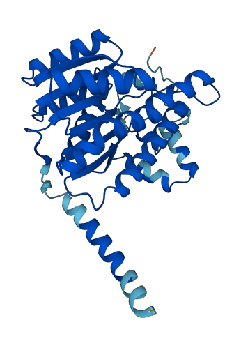 DHRS3 3D structure