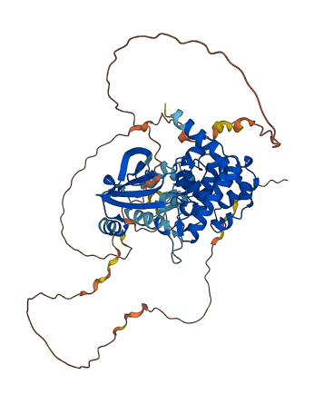 PAK3 3D structure
