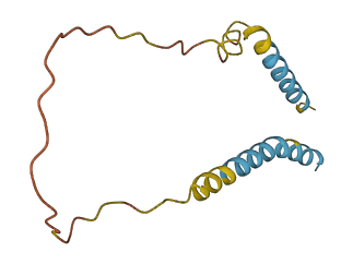 SERF1A 3D structure