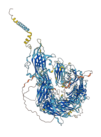 DYSF 3D structure