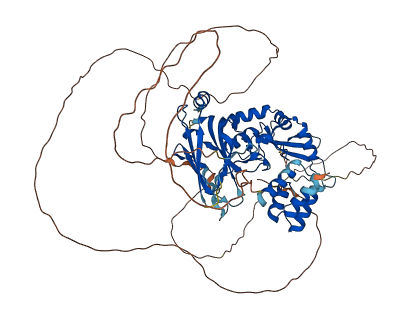 PIAS1 3D structure