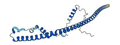 BCAS2 3D structure