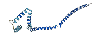 DCTN3 3D structure