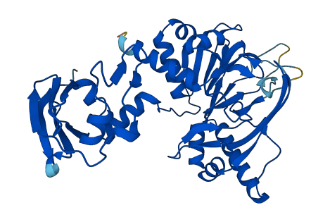 BBOX1 3D structure