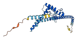 DNAJC8 3D structure