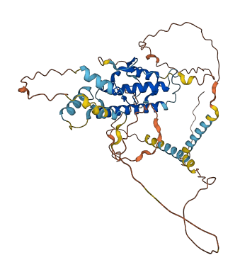 FAM155B 3D structure