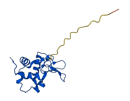 LYZL6 3D structure
