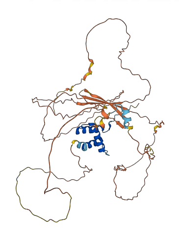 CABYR 3D structure