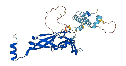DNAJB5 3D structure