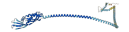 FLOT1 3D structure