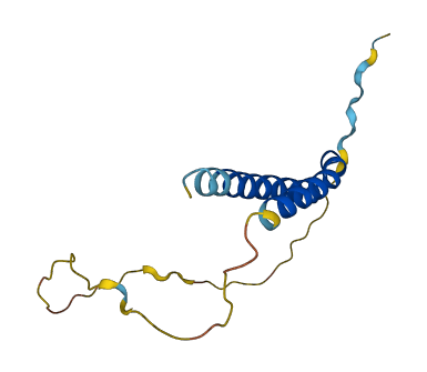 CDK2AP2 3D structure
