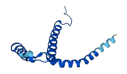 ATP5MG 3D structure