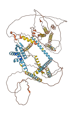 AKAP3 3D structure