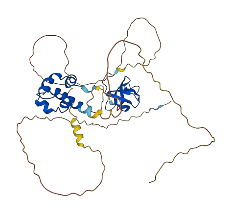 SASH3 3D structure