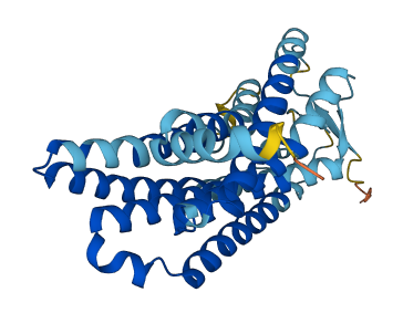 OR2B3 3D structure