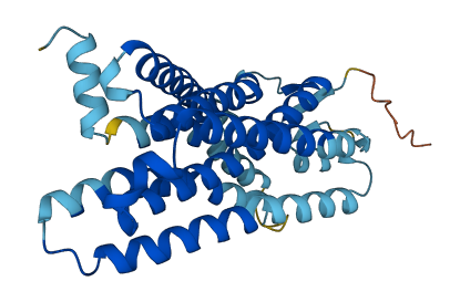 OR2J3 3D structure