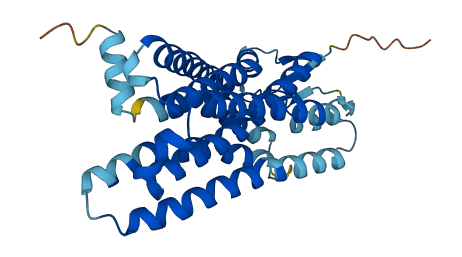 OR2J2 3D structure