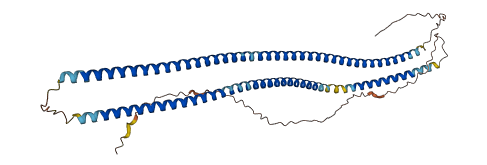 KRT34 3D structure